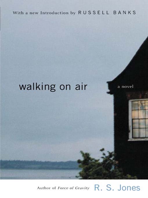 Title details for Walking on Air by R.S. Jones - Available